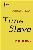 Time Slave - Kindle Edition - Second Version - 2011